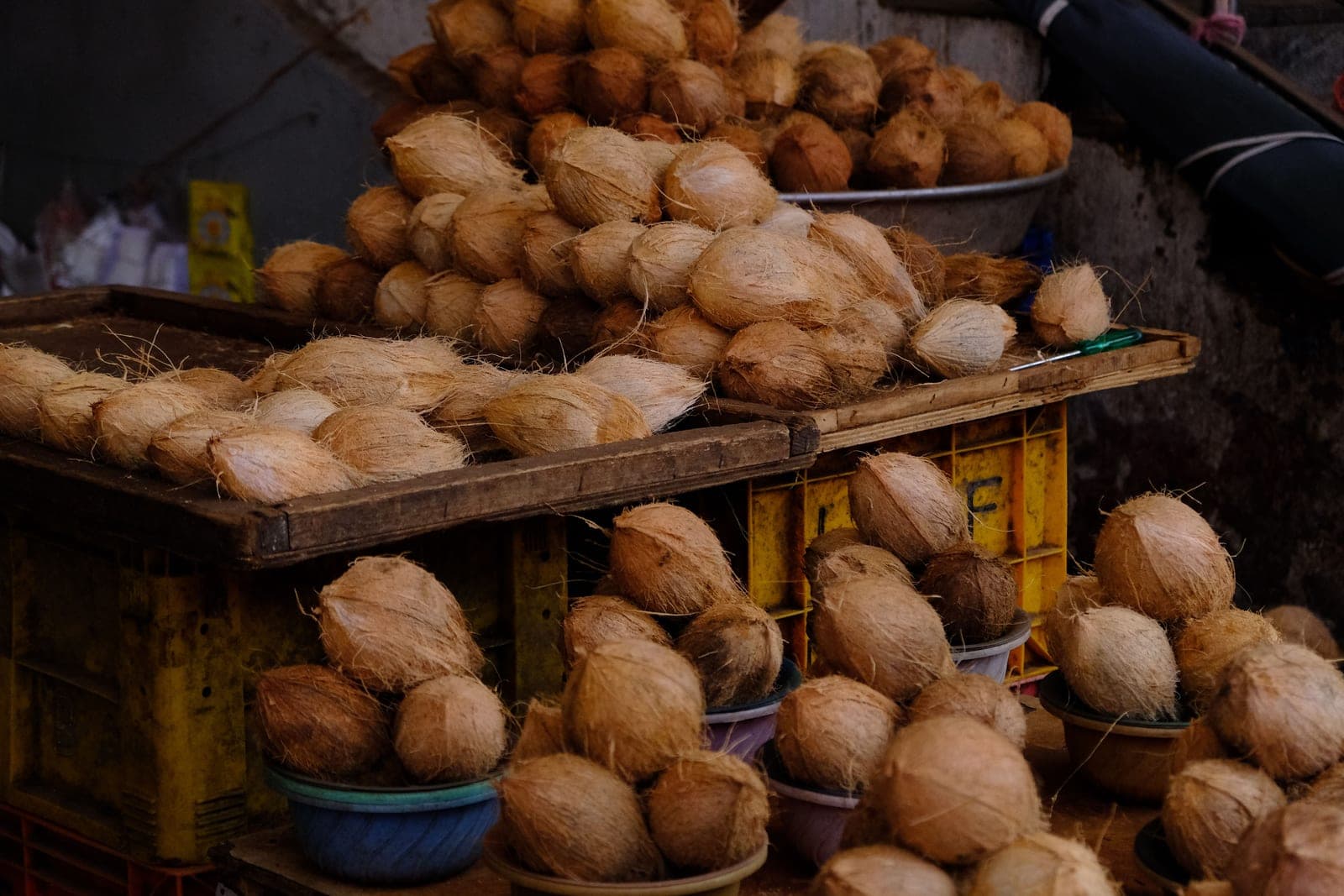 Whole coconuts, husk still on, staged for husking at the facility