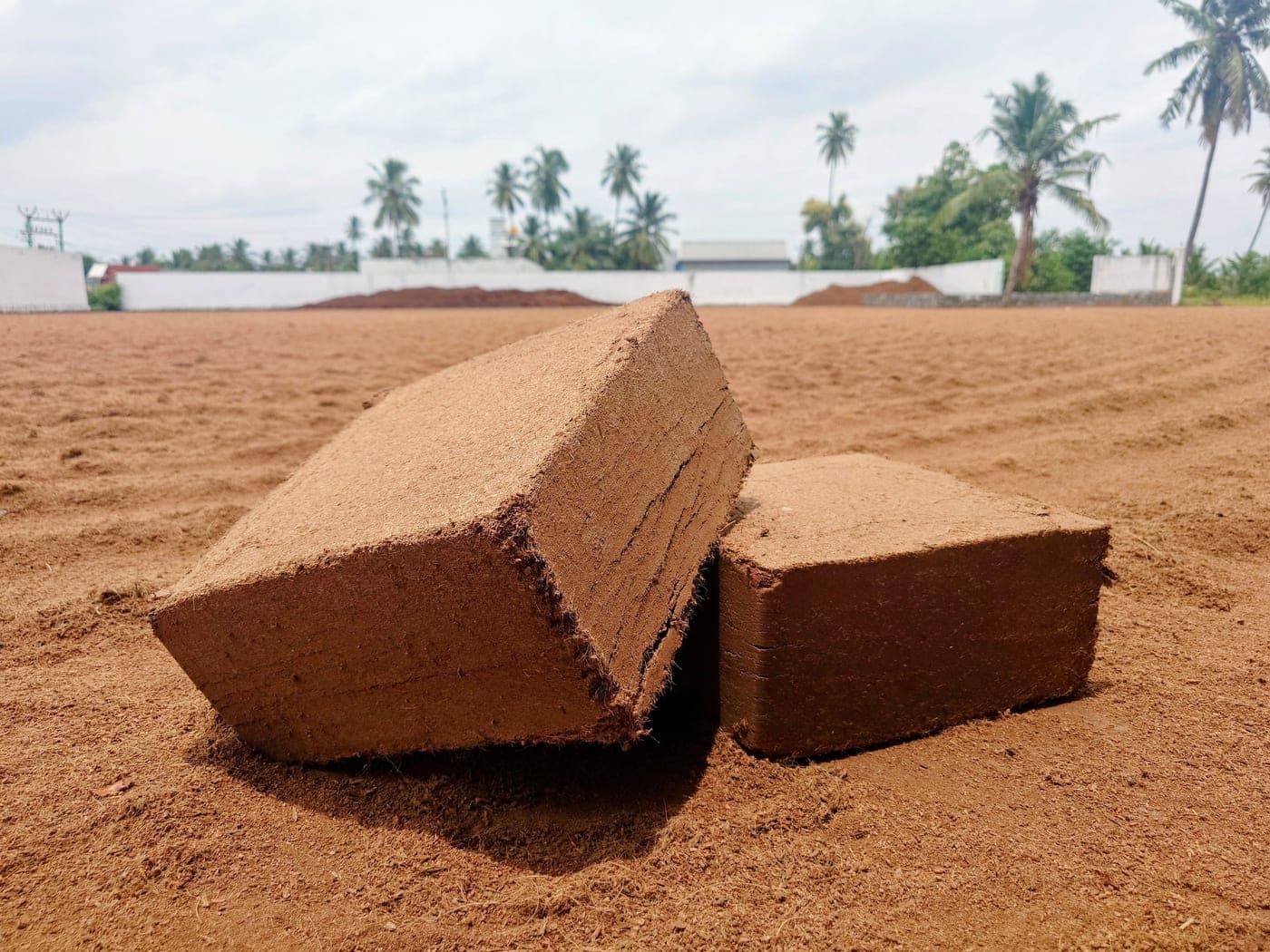 Cocopeat Blocks